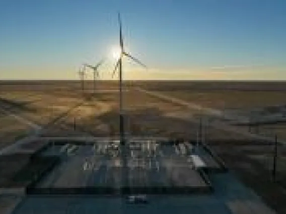 windmills