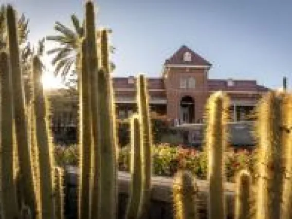 cacti in front of old main