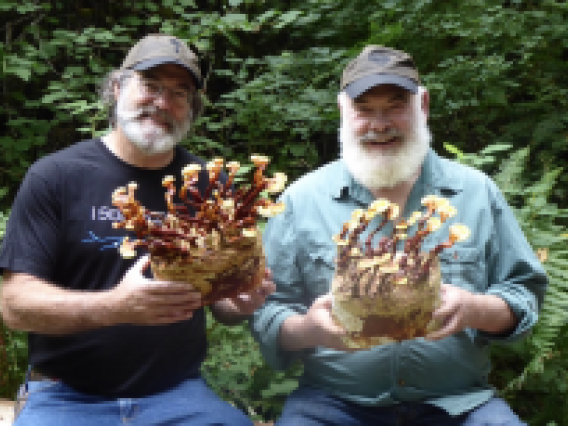 Paul Stamets and Andrew Weil