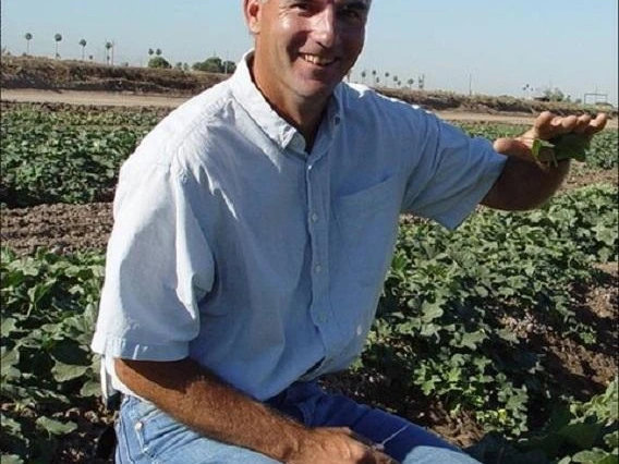 john palumbo