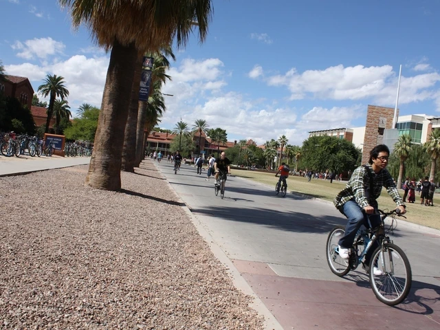 Several people ride bicycles along the University of Arizona Mall, with palm trees, campus buildings and additional bike parking in the background.