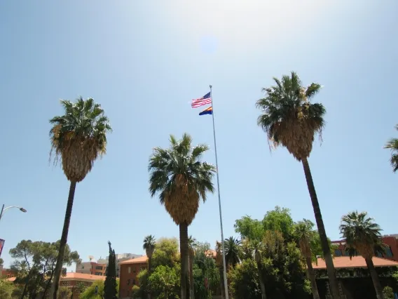 UArizona campus