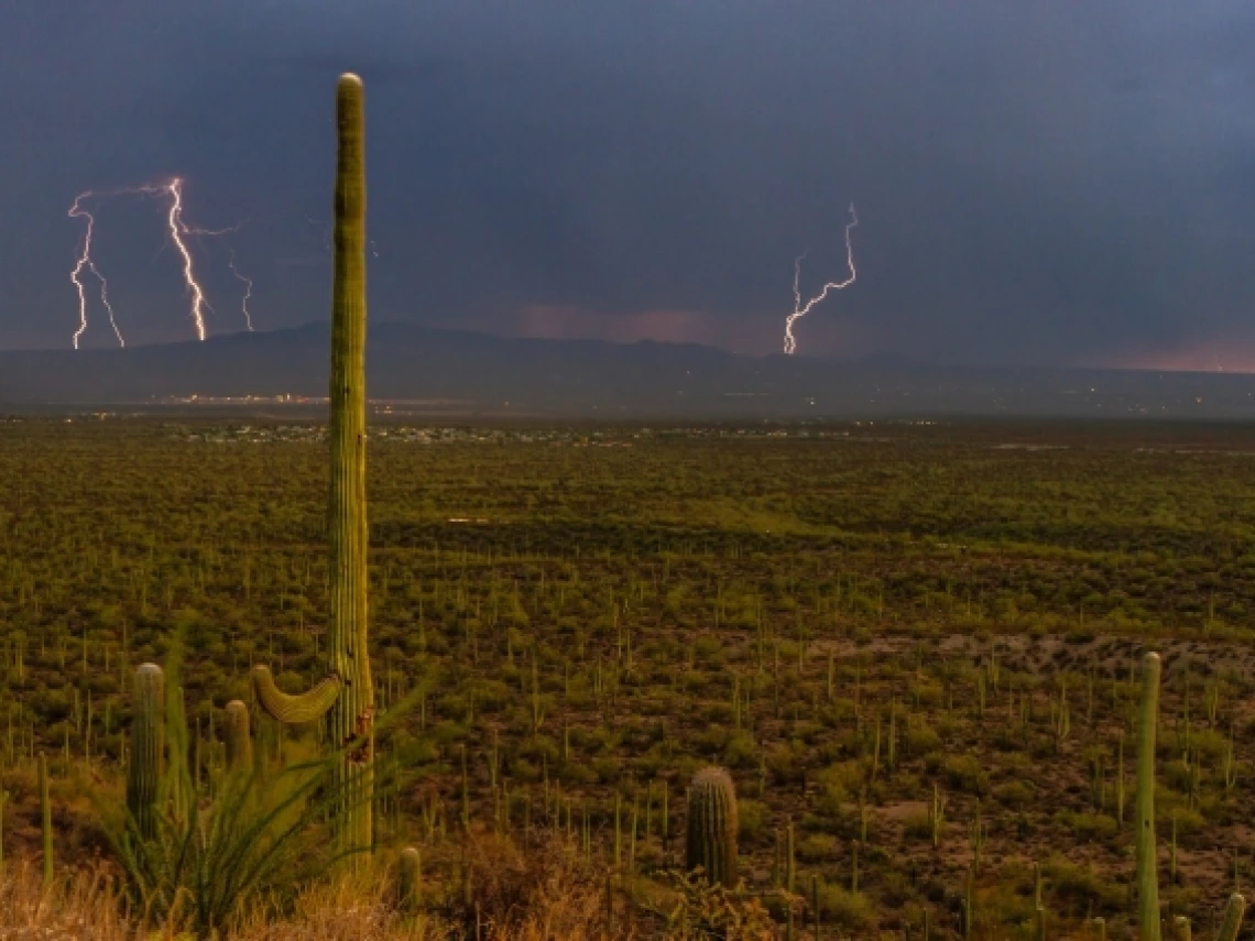 A desert landscape with cactus and lightning 