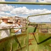 Two men examine agricultural equipment at a ranch.